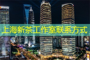 上海新茶工作室：来上海新茶工作室，体验独具匠心的茶艺表演