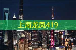 上海新茶工作室：畅游上海新茶工作室的五感盛宴，享受茶叶与艺术的交融！