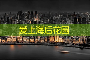 爱上海同城论坛：在夜晚享受浑厚的茶饮文化