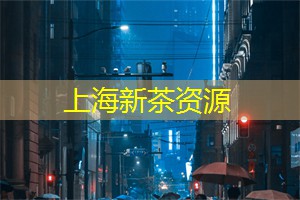 上海品茶网：在船上享受两岸的夜生活魅力